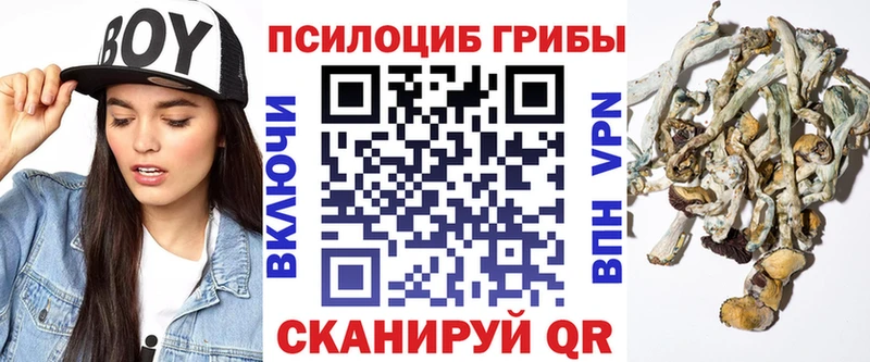 купить  сайты  Мегион  Галлюциногенные грибы Psilocybe 